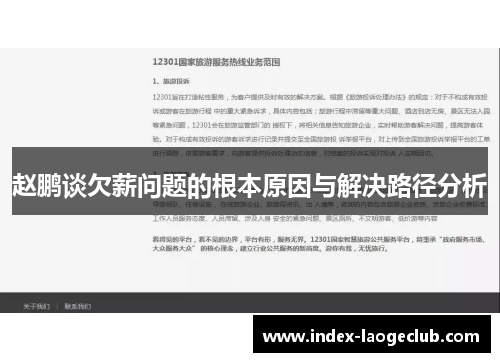 赵鹏谈欠薪问题的根本原因与解决路径分析
