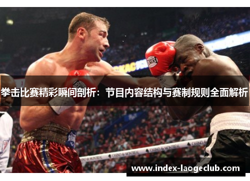 拳击比赛精彩瞬间剖析：节目内容结构与赛制规则全面解析