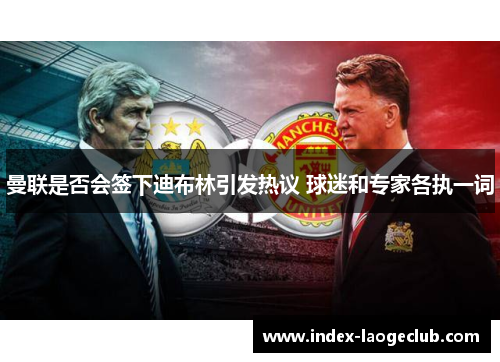 曼联是否会签下迪布林引发热议 球迷和专家各执一词