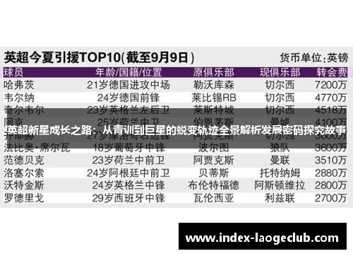 英超新星成长之路：从青训到巨星的蜕变轨迹全景解析发展密码探究故事